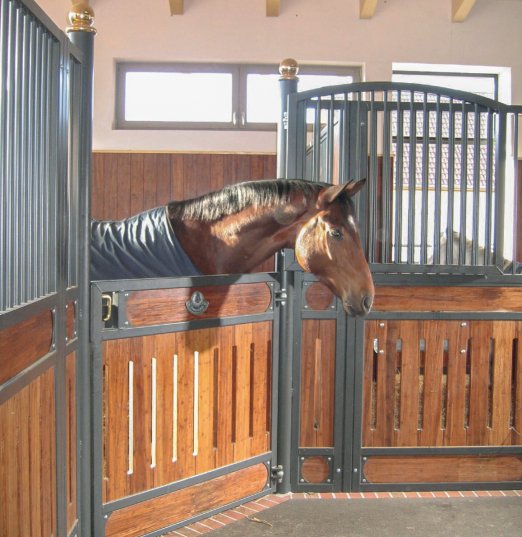 Pferd schaut aus oben geöffneter Boxentür vom Modell Hannover, grau gepulverte Metallteile aus dem Jahr 2010