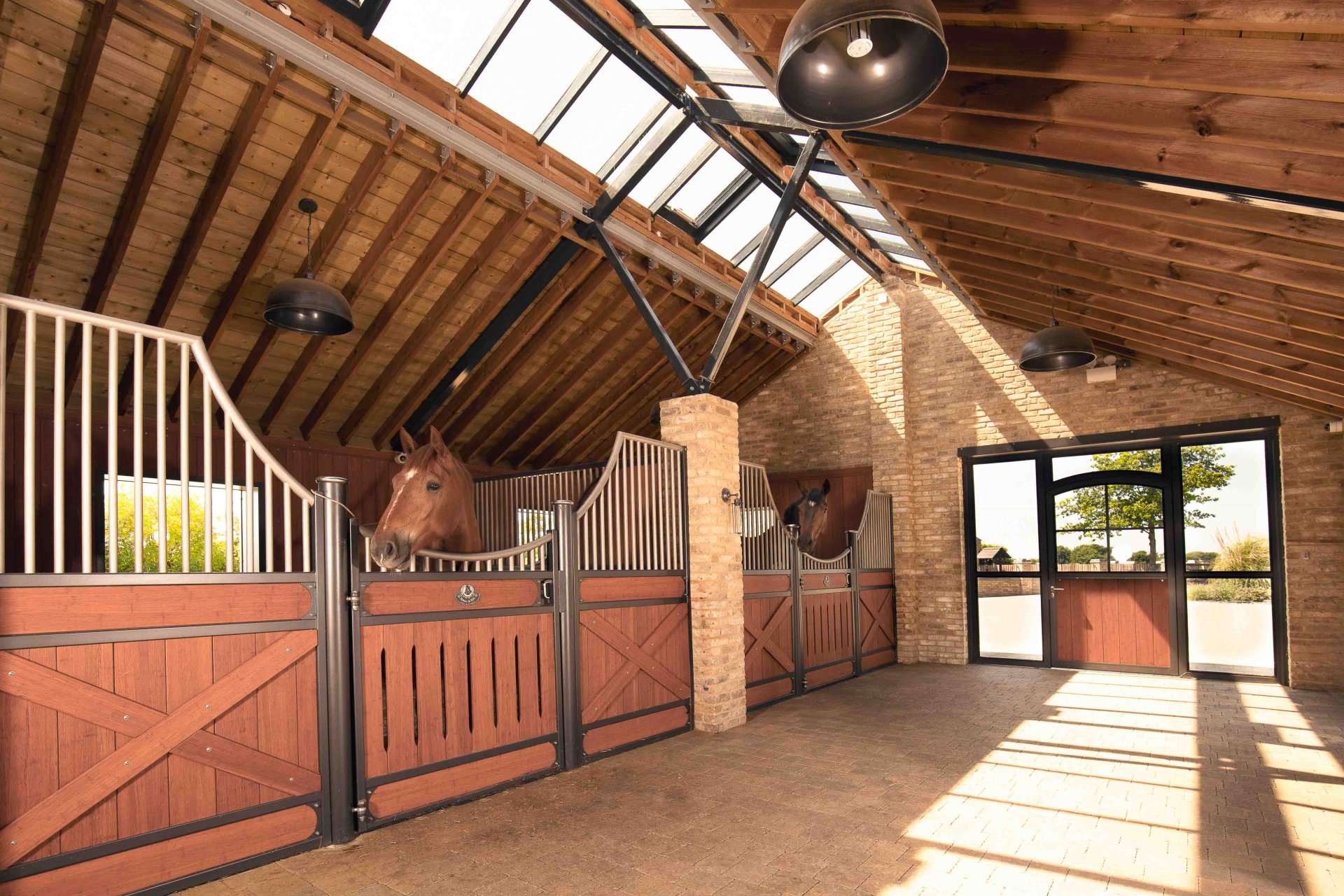 Stable aisle with individual horse stalls Bremen with powder coating and stainless steel top grille